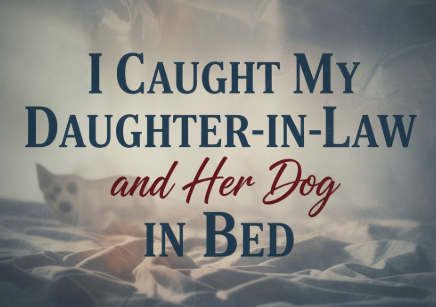 I Caught My Daughter-in-Law and Her Dog in Bed